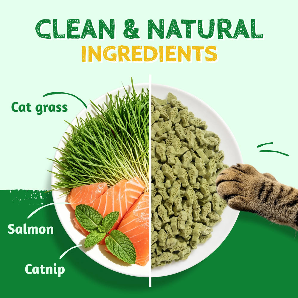 Just Try galletas primer plano con salmón y catnip, atractivo para gatos