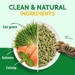 Just Try galletas primer plano con salmón y catnip, atractivo para gatos