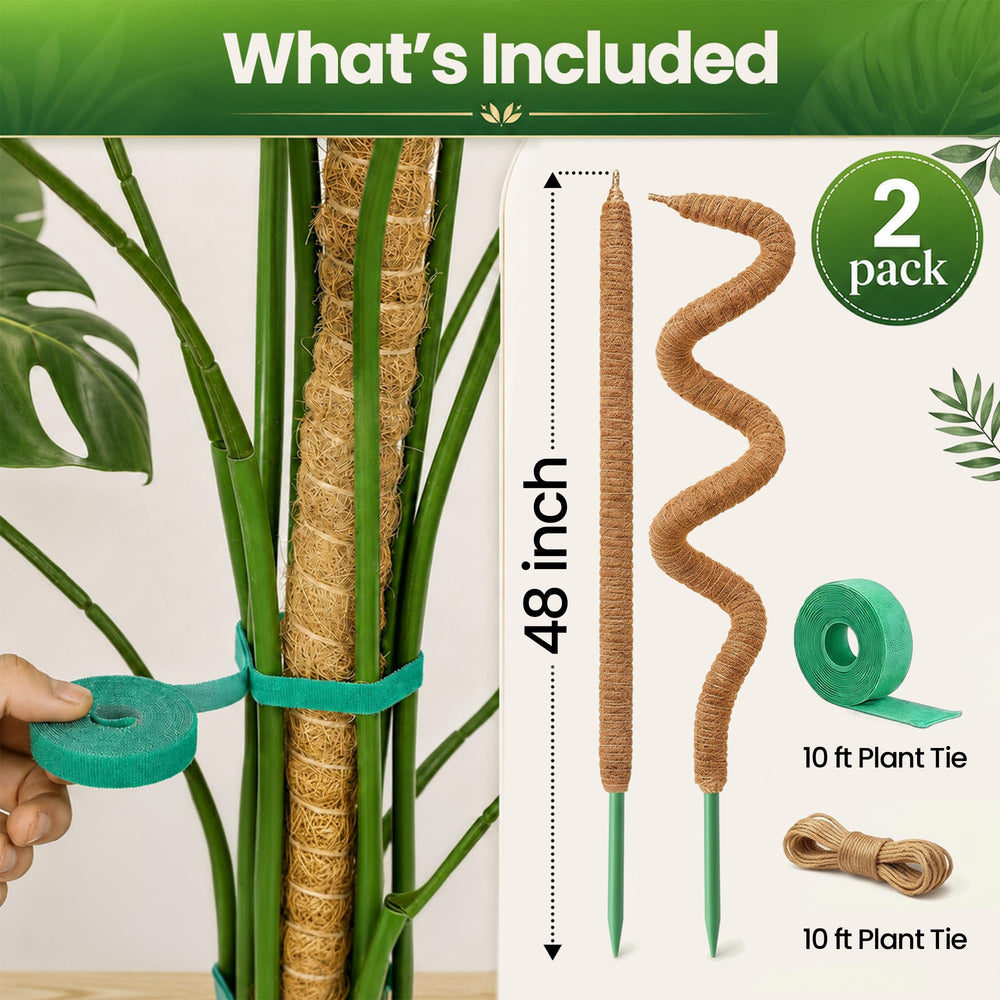 K-Brands detalle de fibra de coco que retiene humedad y favorece raíces