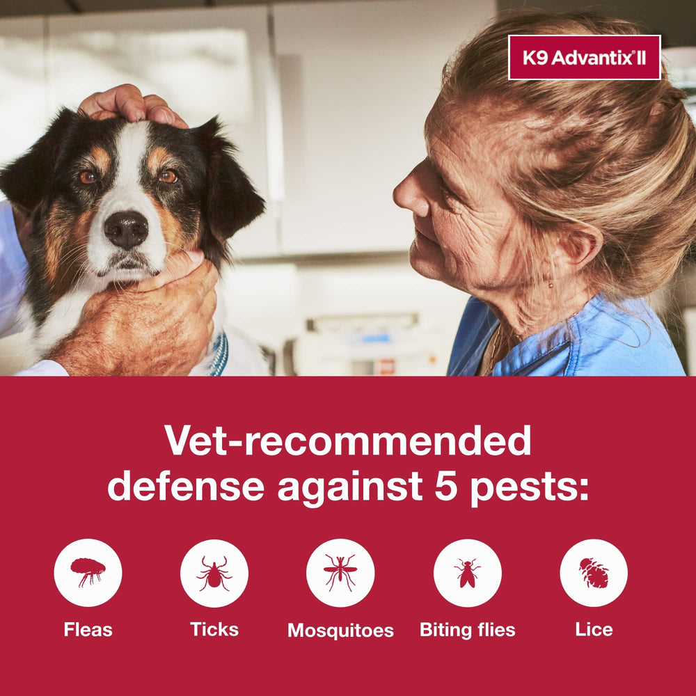 K9 Advantix aplicándose en lomo de perro con rápida absorción y comodidad