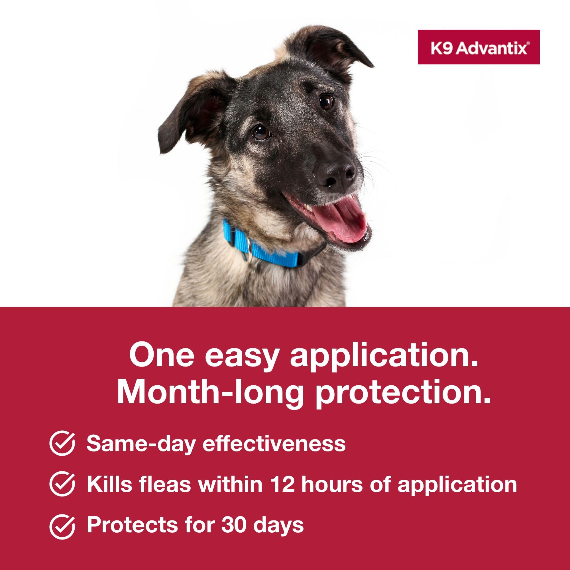 Comparación de tamaño de pipeta K9 Advantix junto a una regla para escala