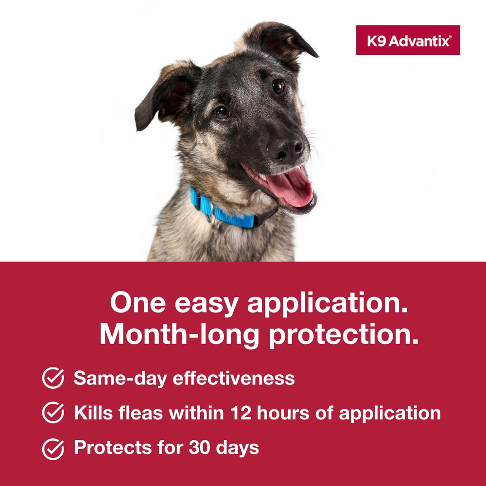 Comparación de tamaño de pipeta K9 Advantix junto a una regla para escala