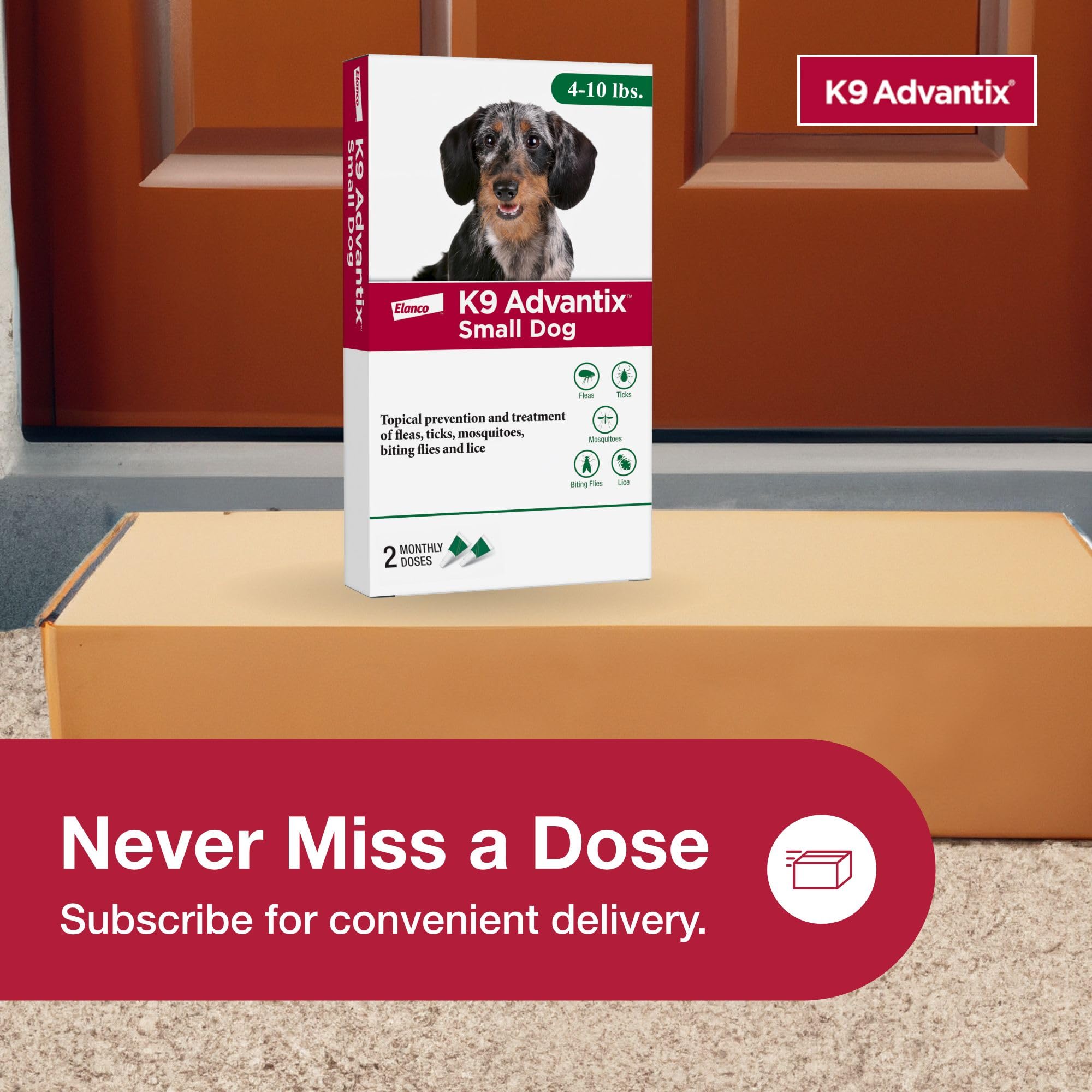 K9 Advantix en estilo de vida exterior para perros protegidos y activos