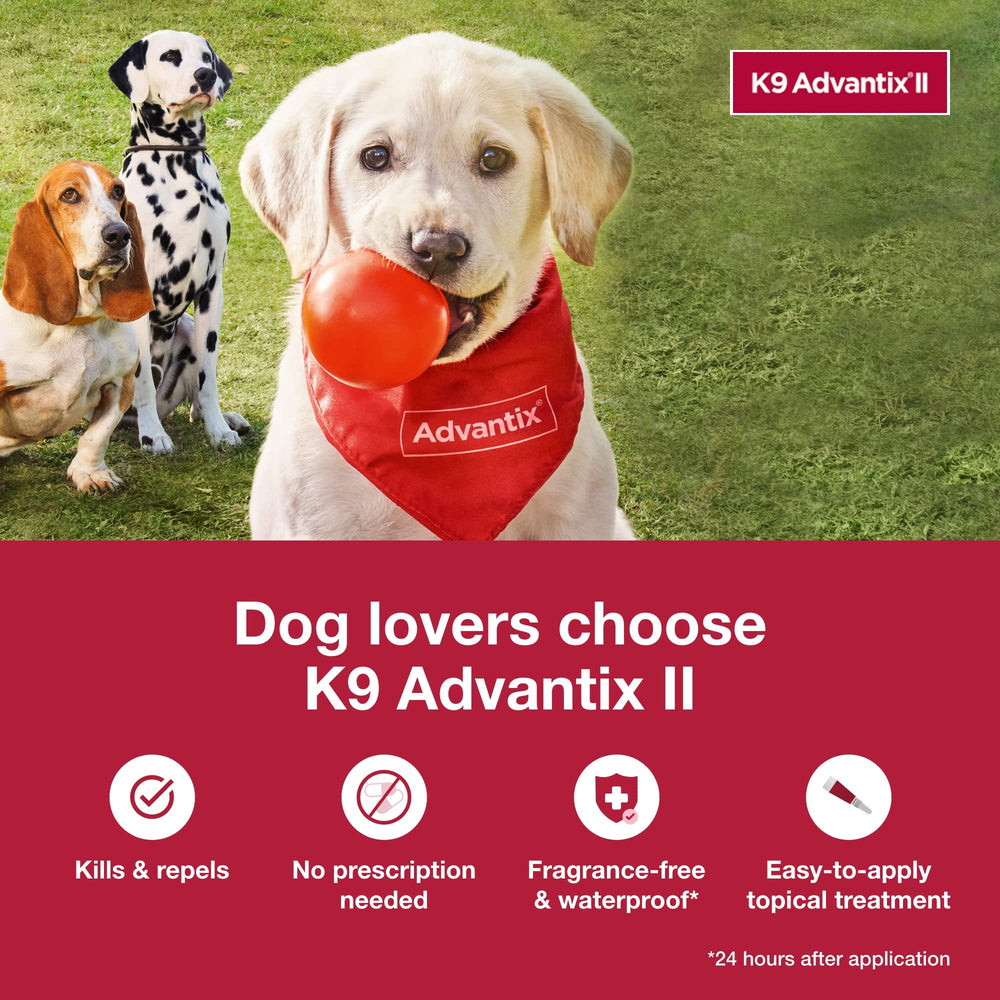 K9 Advantix aplicando en perro para control rápido de pulgas