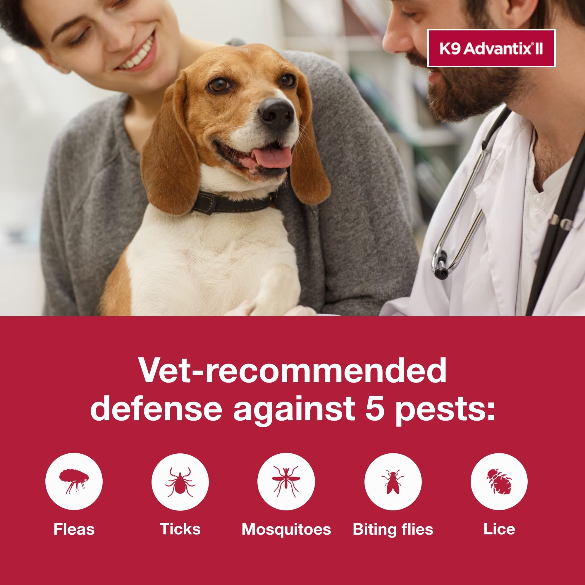 K9 Advantix perro jugando tras aplicación, cómodo y protegido