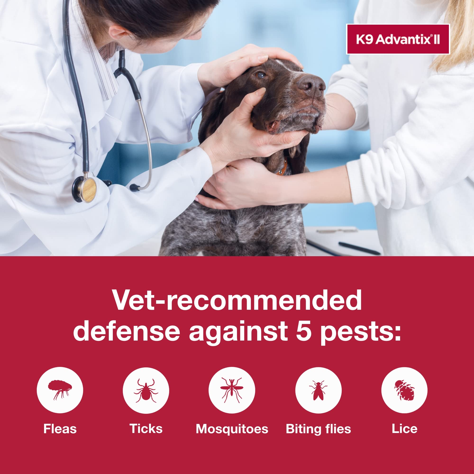 K9 Advantix junto a perro grande para referencia de tamaño