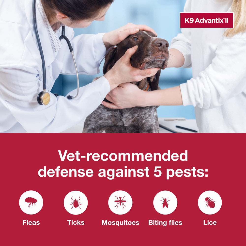 K9 Advantix junto a perro grande para referencia de tamaño