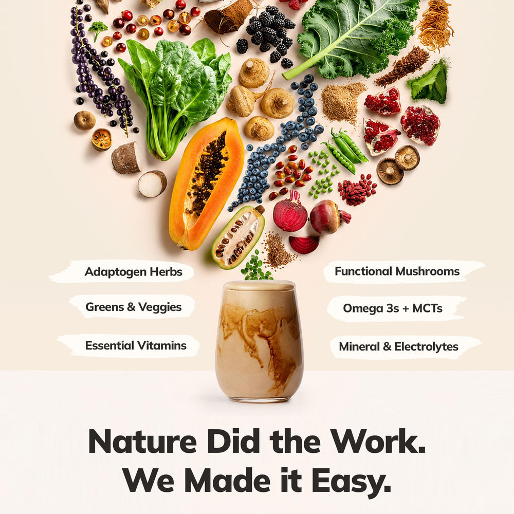 Ka'Chava ingredientes superfoods agrupados para nutrición completa