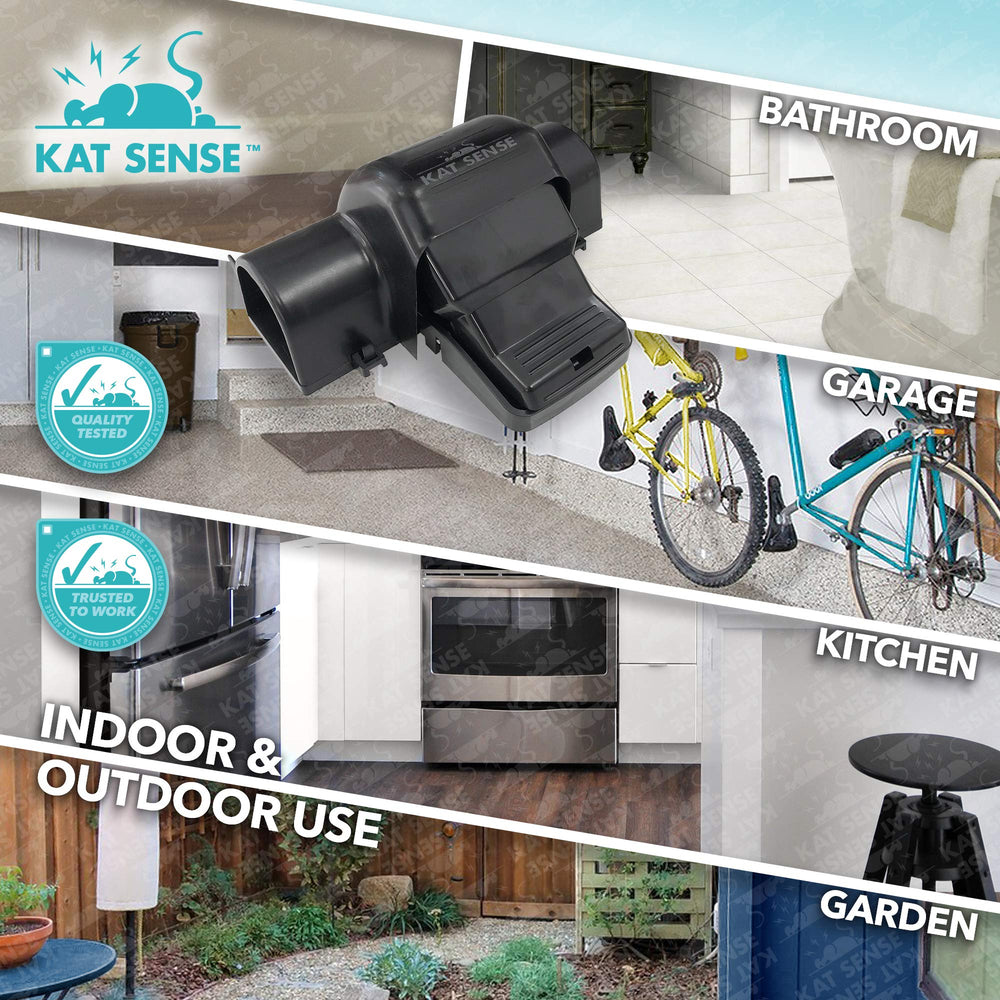 Kat Sense ambientada en cocina familiar ilustrando seguridad para niños y mascotas