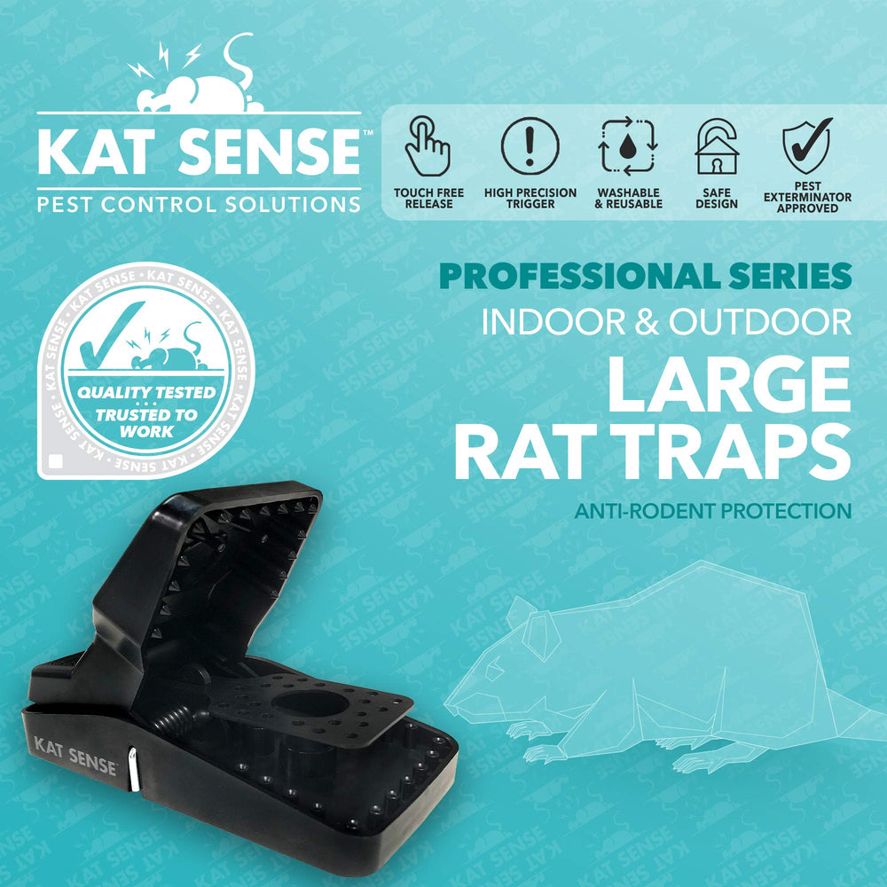 Kat Sense trap beside a ruler for clear size comparison and proper placement