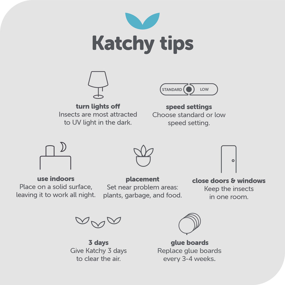 Contenido del paquete Katchy mostrando unidad y las cuatro placas adhesivas