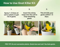 Kate's Home & Garden spray aplicado en maceta, reduce poblaciones de hongos