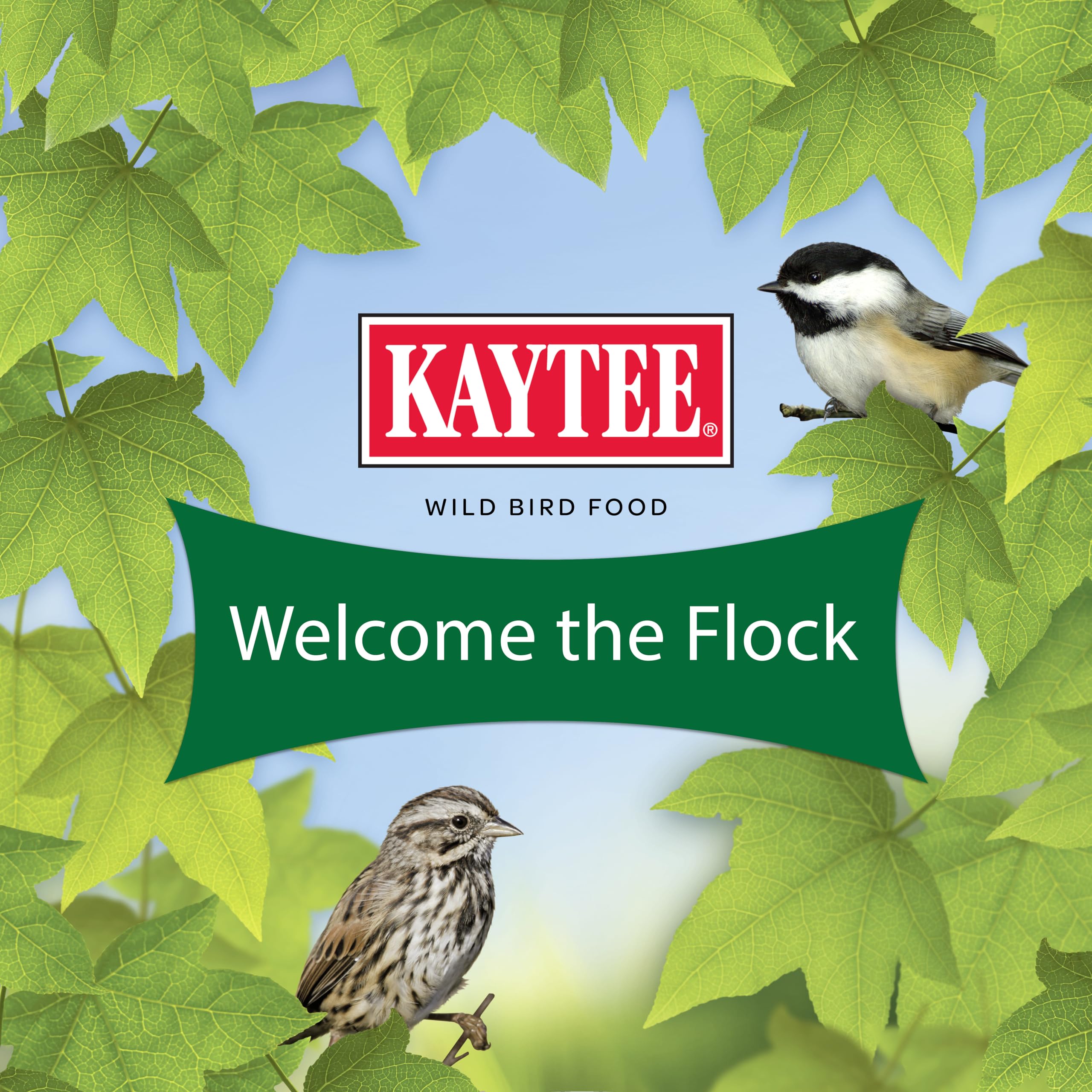 Kaytee cardinal alimentándose de la mezcla atraído por pipas de girasol