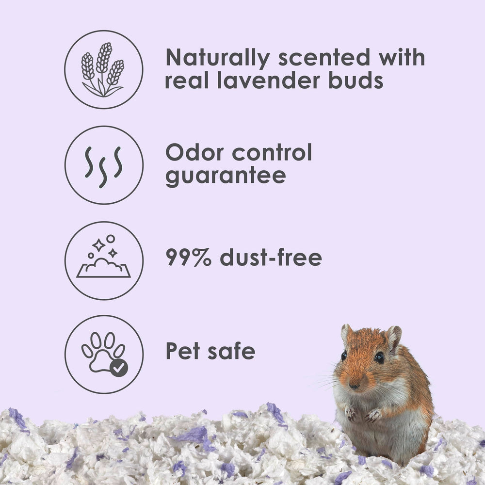 Kaytee brotes de lavanda reales que aportan aroma natural