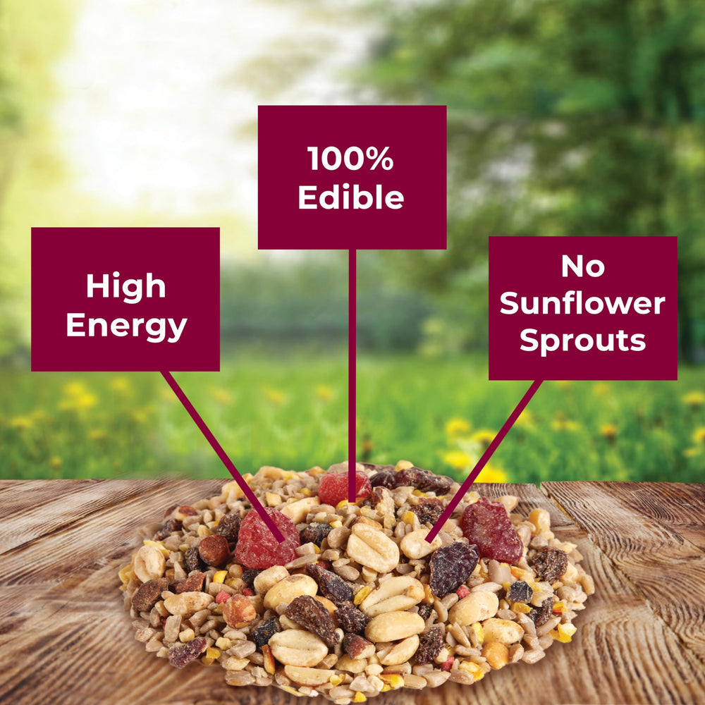 Kaytee primer plano de pistachos y cerezas, fuente de energía natural