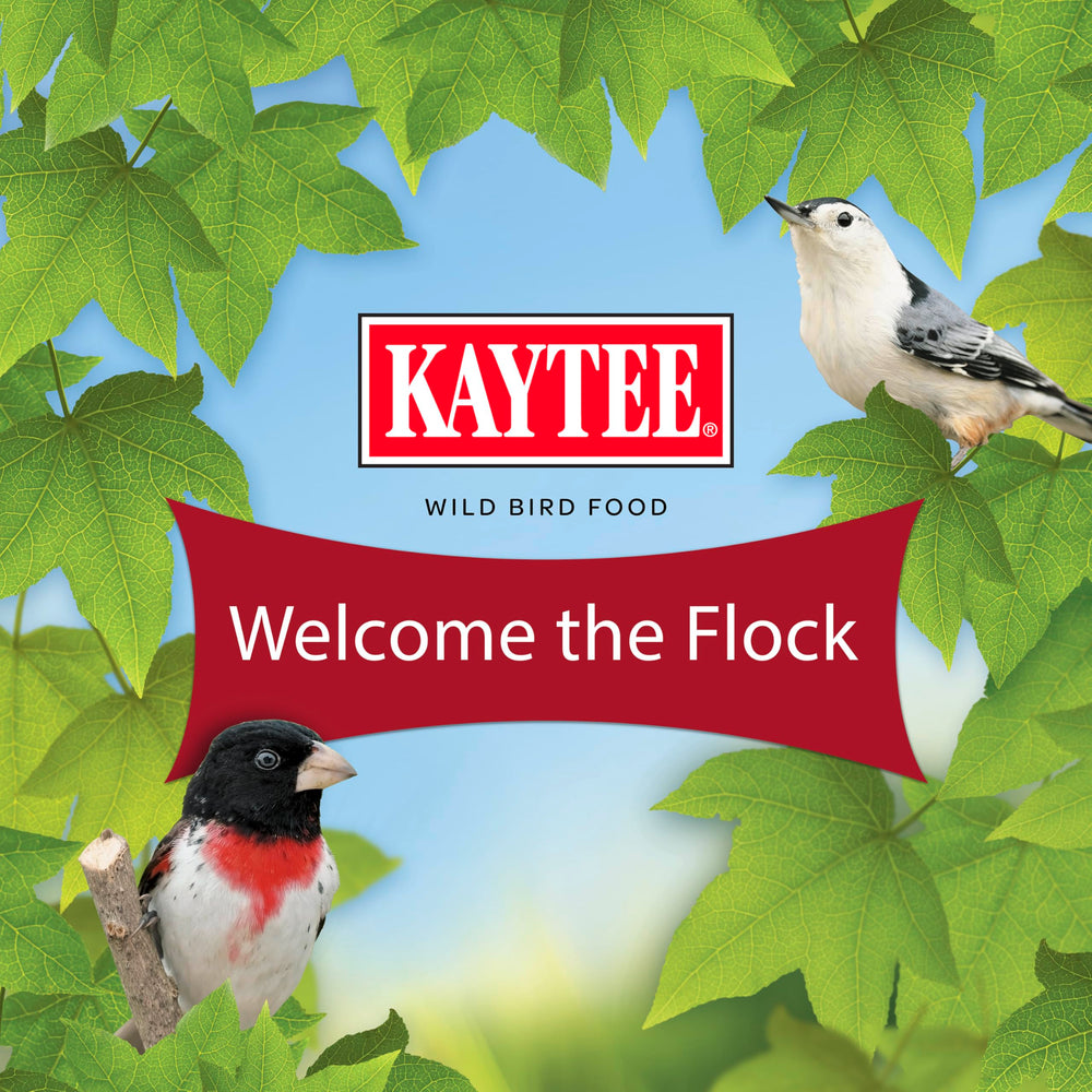 Kaytee cierre de bolsa y material resistente que conserva frescura