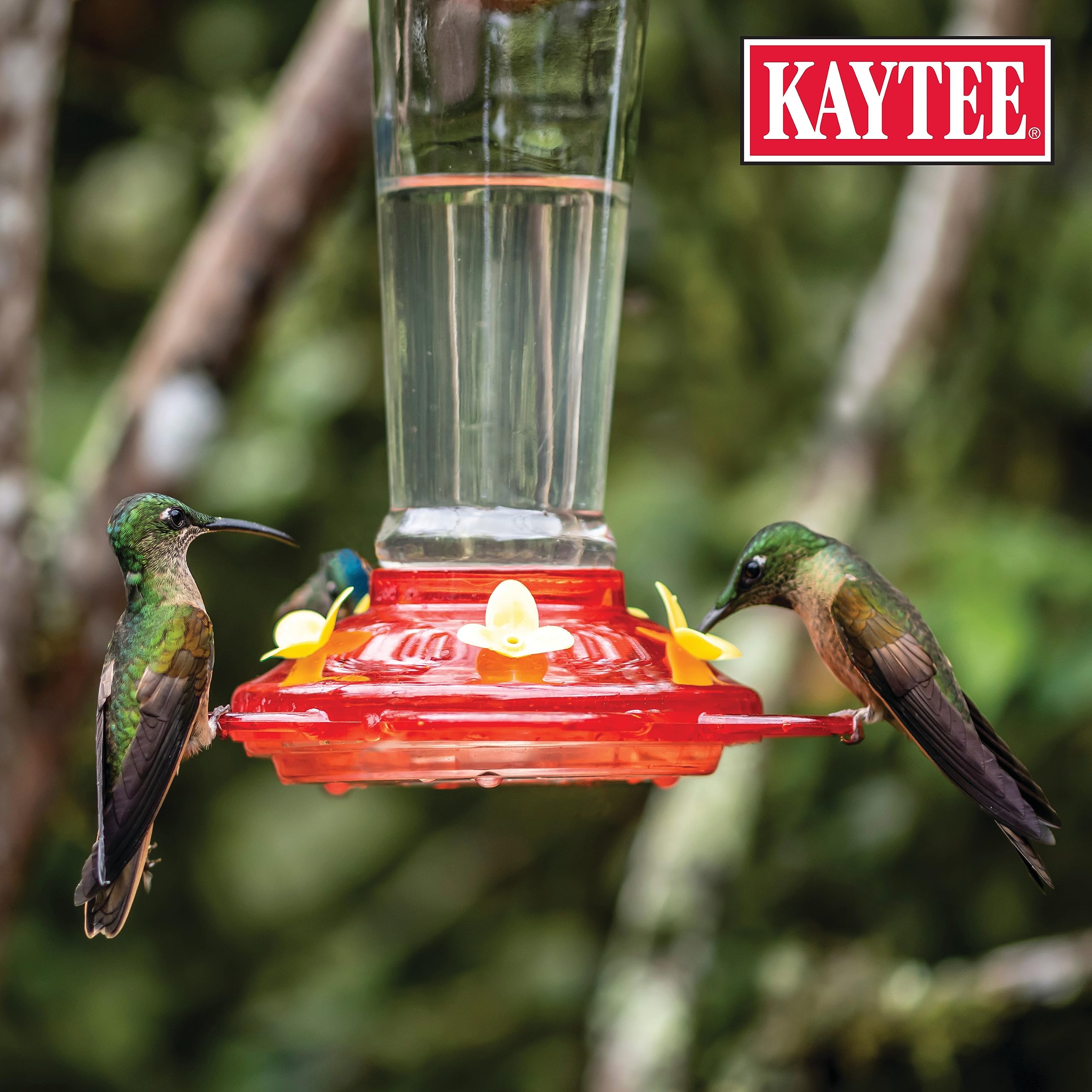 Kaytee comedero con colibrí en jardín, beneficio: atrae aves de forma natural