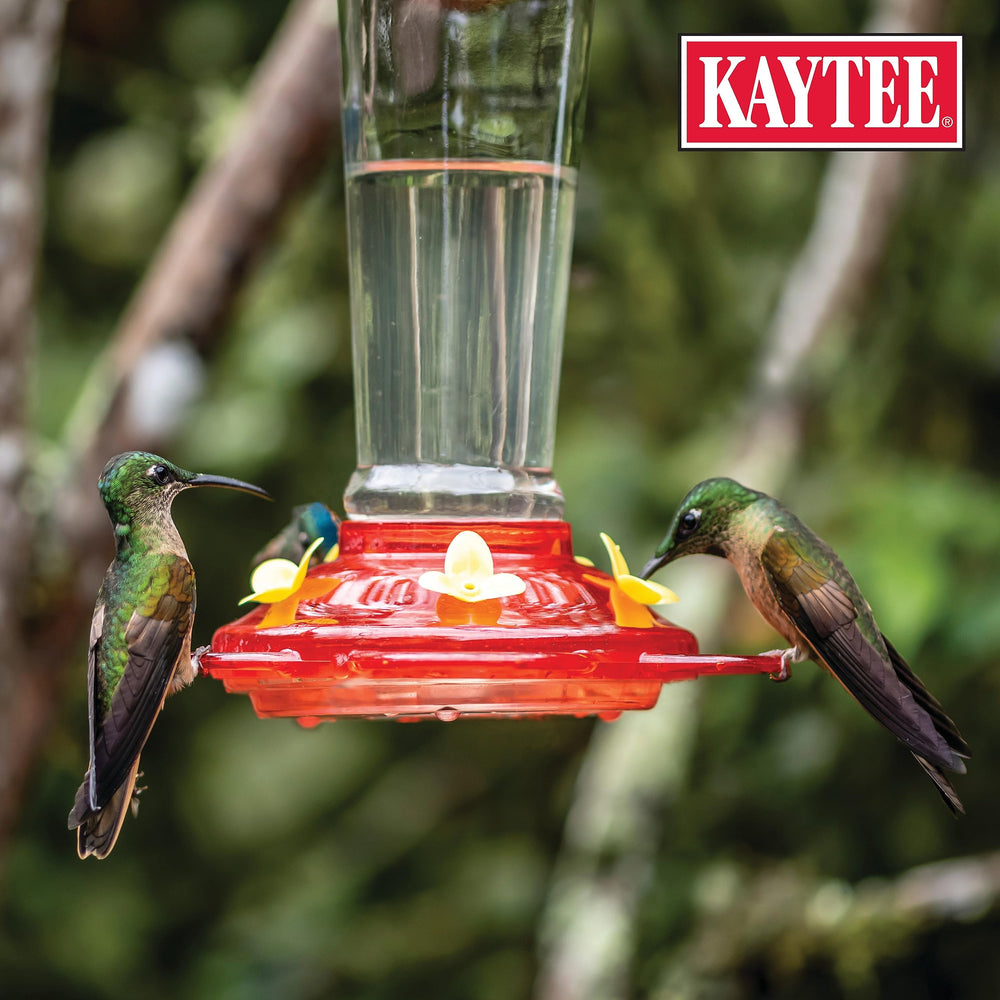 Kaytee comedero con colibrí en jardín, beneficio: atrae aves de forma natural
