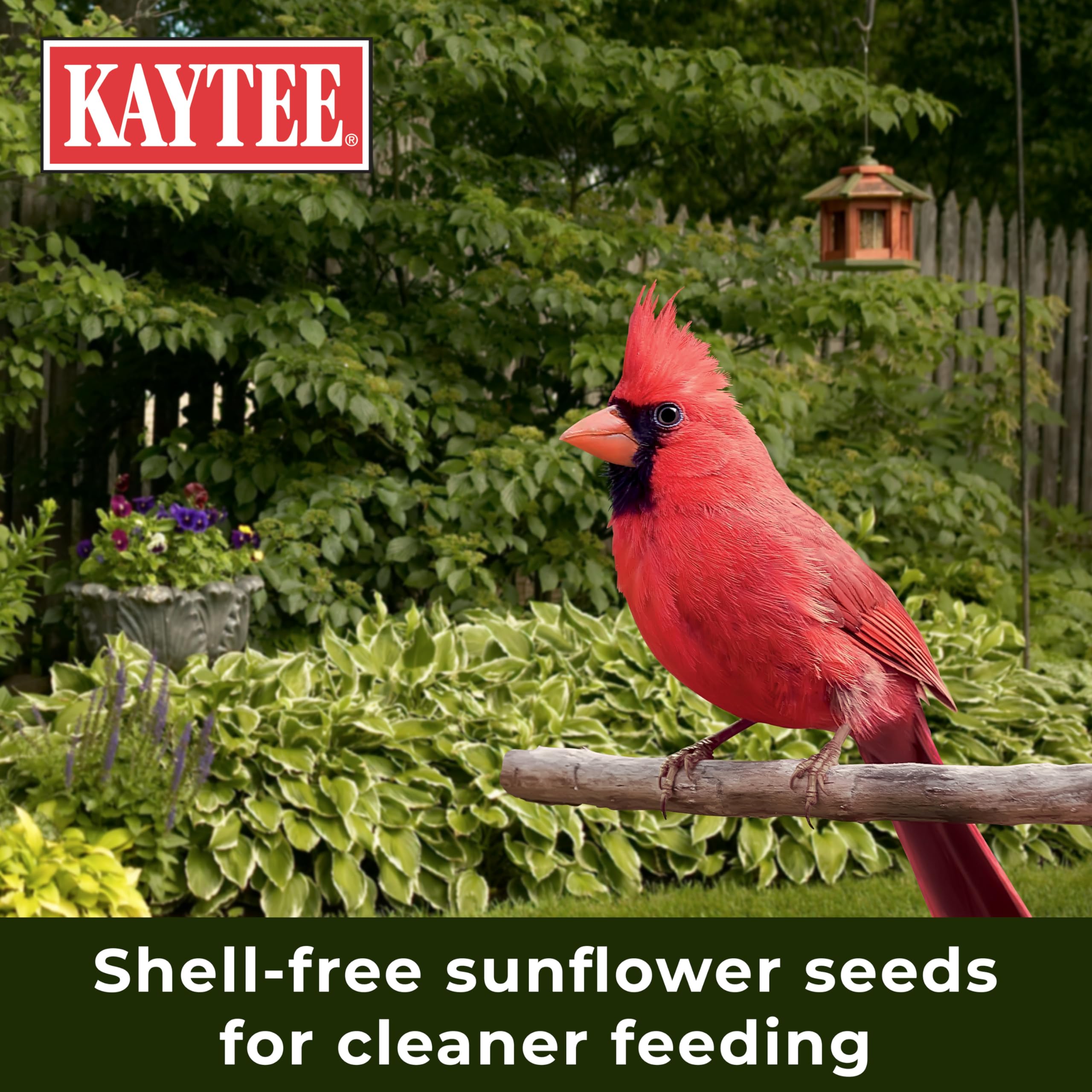 Kaytee ambiente de jardín con comedero, mejora la observación de aves