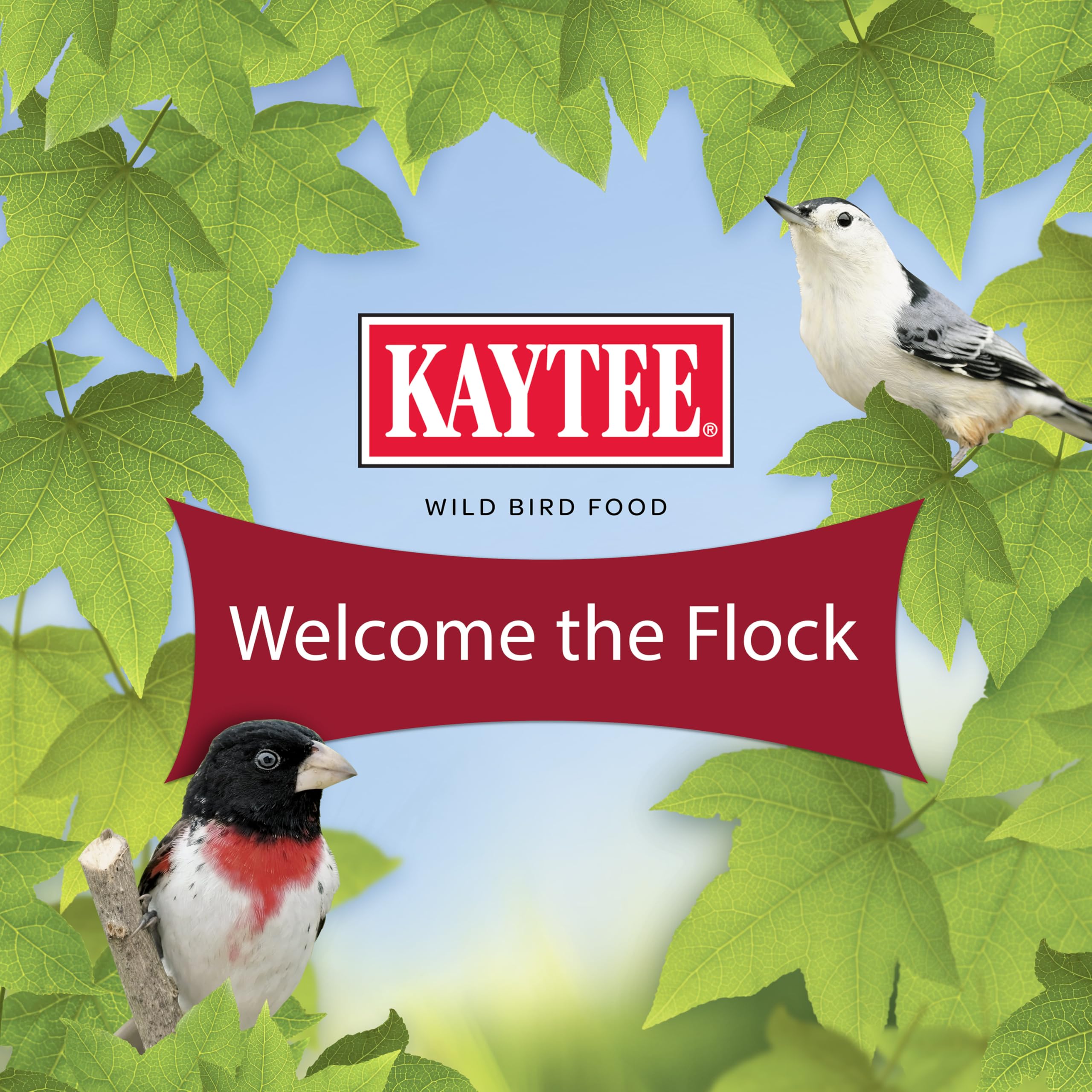 Kaytee ambiente exterior con la mezcla fomentando visitas