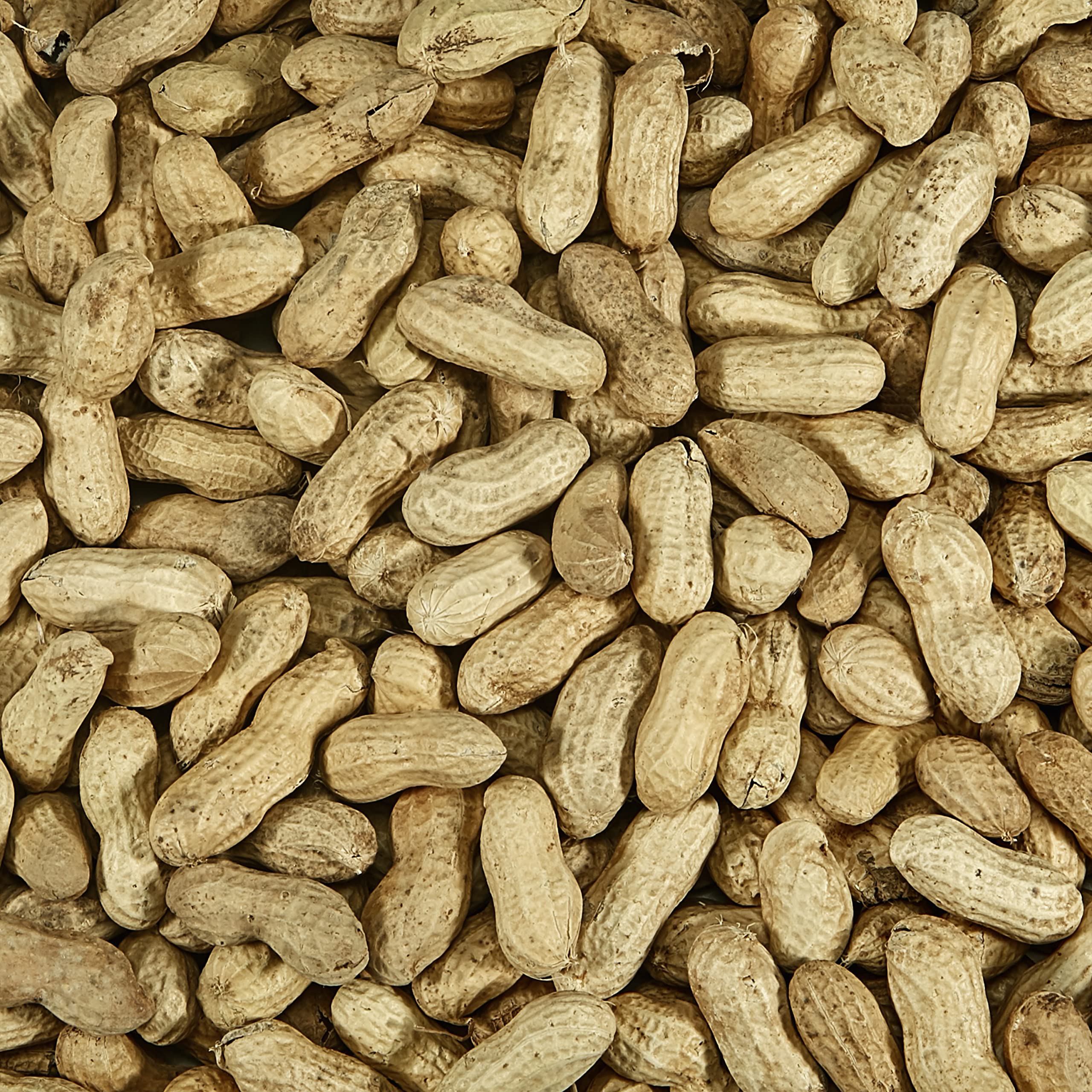 Kaytee peanuts displayed in a platform feeder attracting birds
