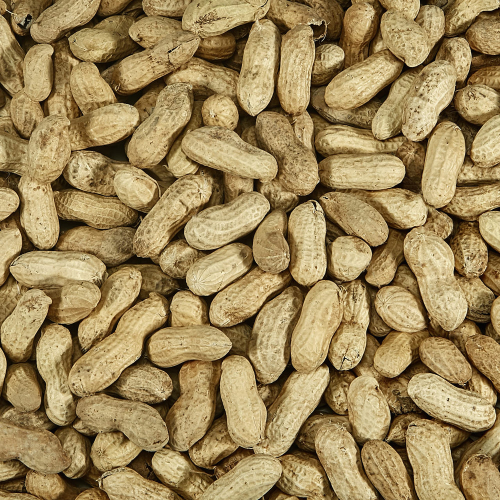 Kaytee peanuts displayed in a platform feeder attracting birds