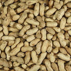 Kaytee peanuts displayed in a platform feeder attracting birds