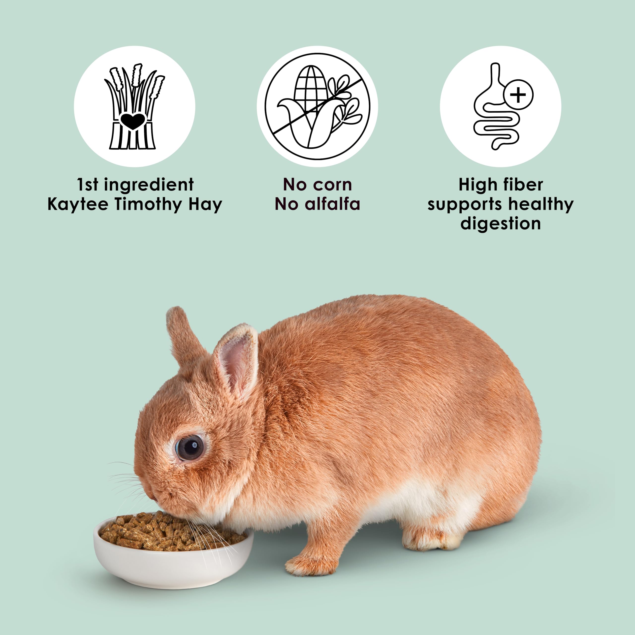 Kaytee comparación de tamaño de pellets frente a una mano, fácil dosificación