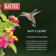 Kaytee rellenando comedero, beneficio: atrae colibríes fácilmente