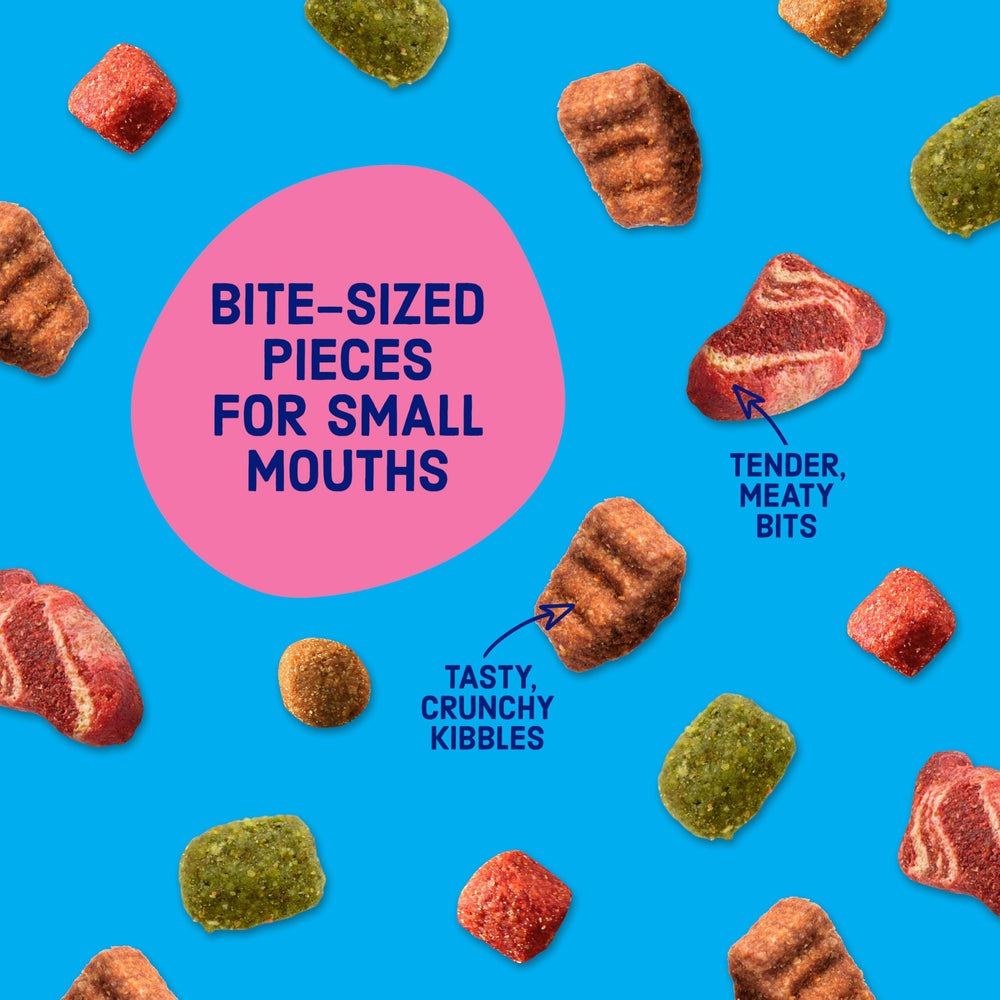 Kibbles 'n Bits comparación de tamaño de croqueta junto a una moneda mostrando escala pequeña