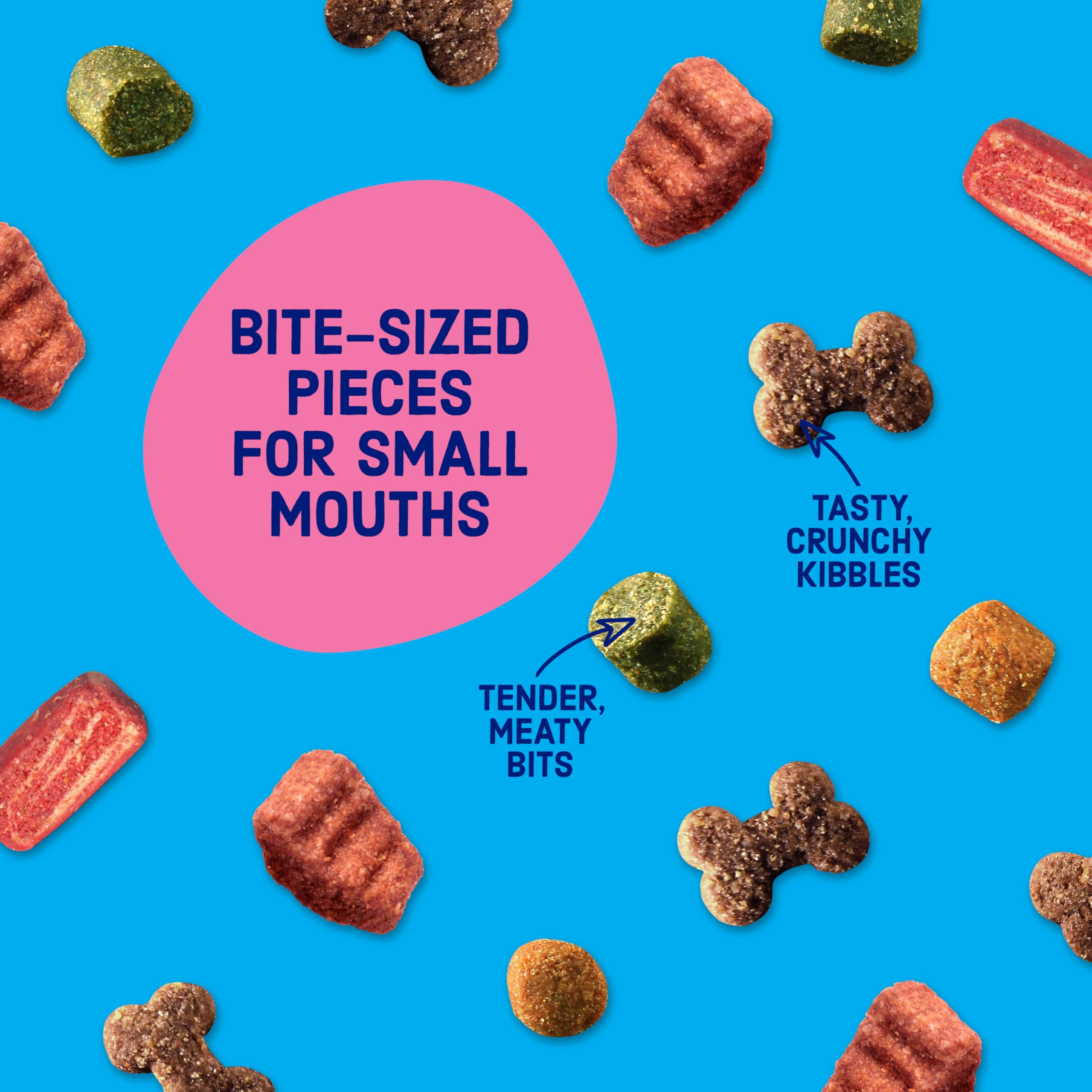 Kibbles 'n Bits comparación tamaño en mano que muestra porciones ideales