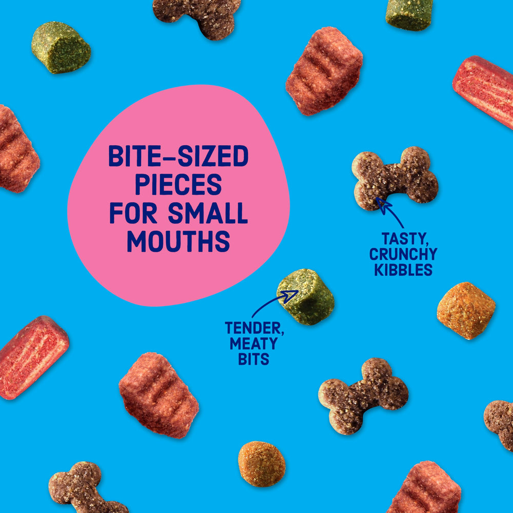 Kibbles 'n Bits comparación tamaño en mano que muestra porciones ideales