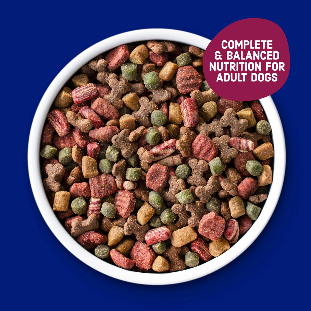 Kibbles 'n Bits textura visible en mano, permite evaluar calidad