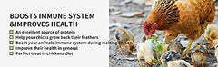 kimoe open bag with visible mealworms ready to pour for convenience