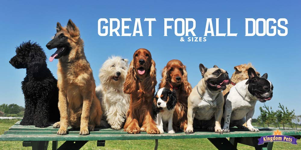 Kingdom Pets etiqueta de ingredientes destacando formula sin rellenos
