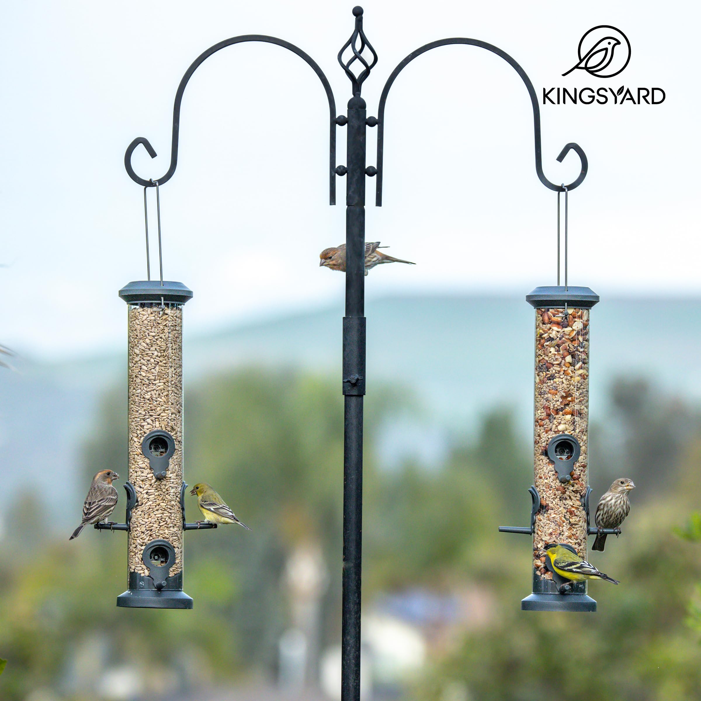 Kingsyard comedero en jardín con aves mostrando ambiente natural