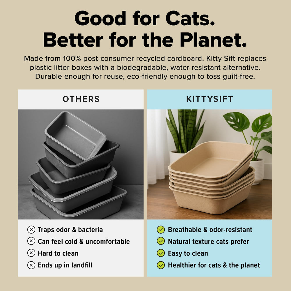 Kitty Sift comparación de tamaño con manos para apreciar dimensiones