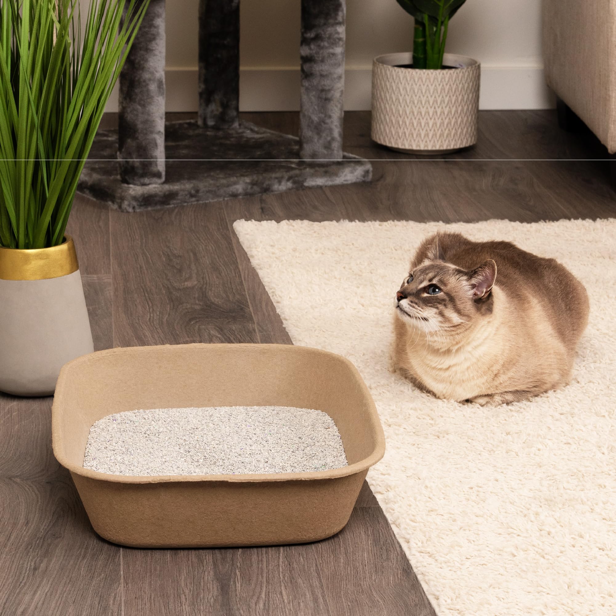 Kitty Sift textura interior que facilita drenaje y reduce humedad