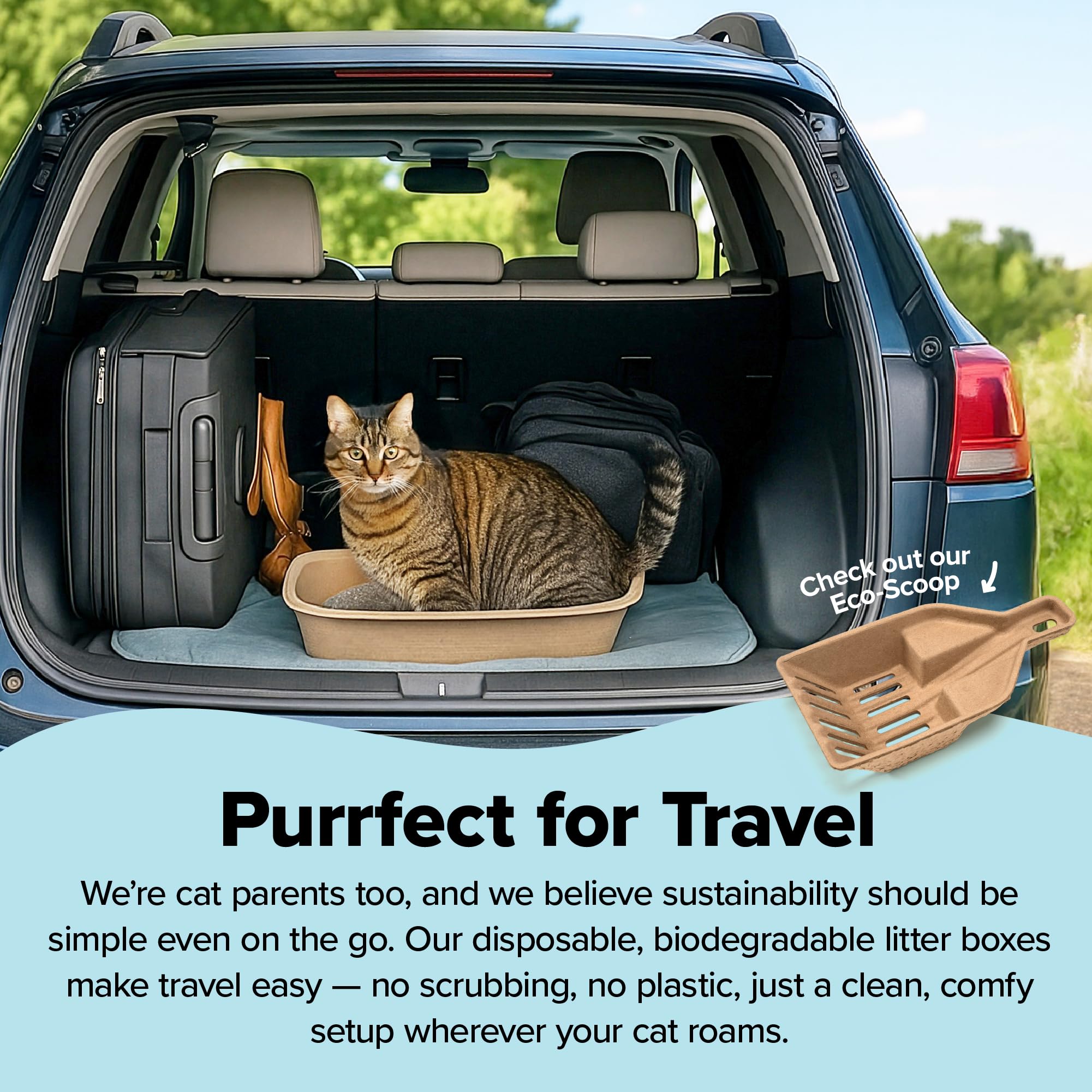 Kitty Sift bandeja en coche lista para viaje, comodidad móvil