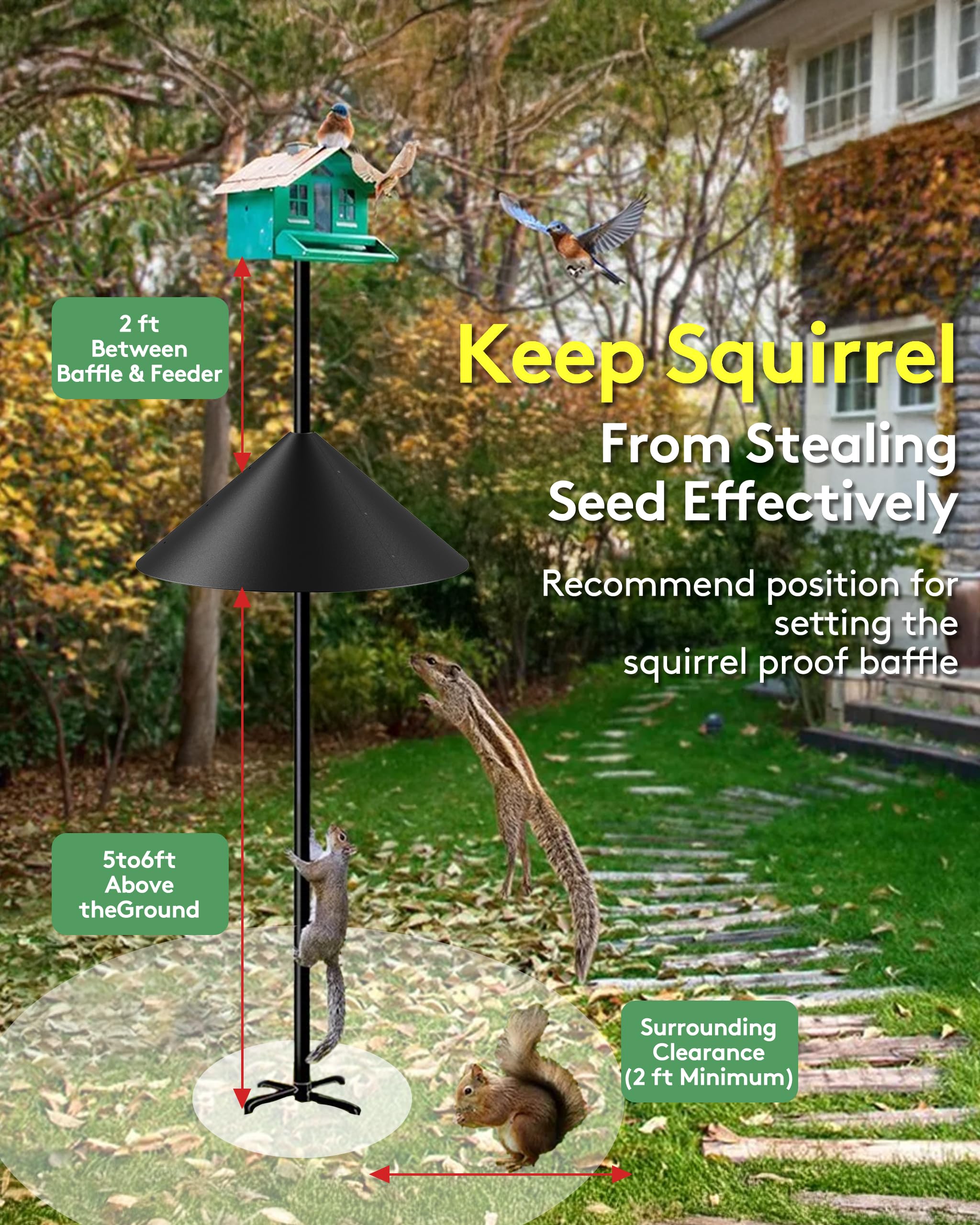 KITVONA baffle with feeder in garden illustrating bird-friendly protection and tidy backyard look