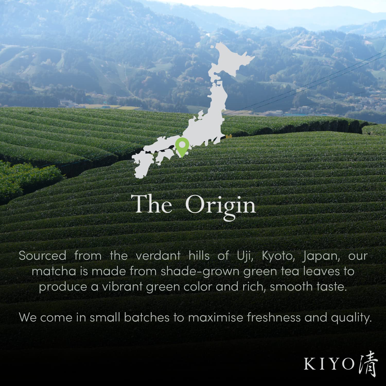 Kiyo Matcha taza preparada estilo usucha destacando sabor auténtico