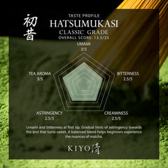 Kiyo Matcha primer plano del polvo resaltando textura fina y color