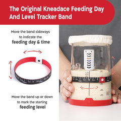 KNEADACE marcas de volumen y peso visibles que ayudan a alimentaciones precisas