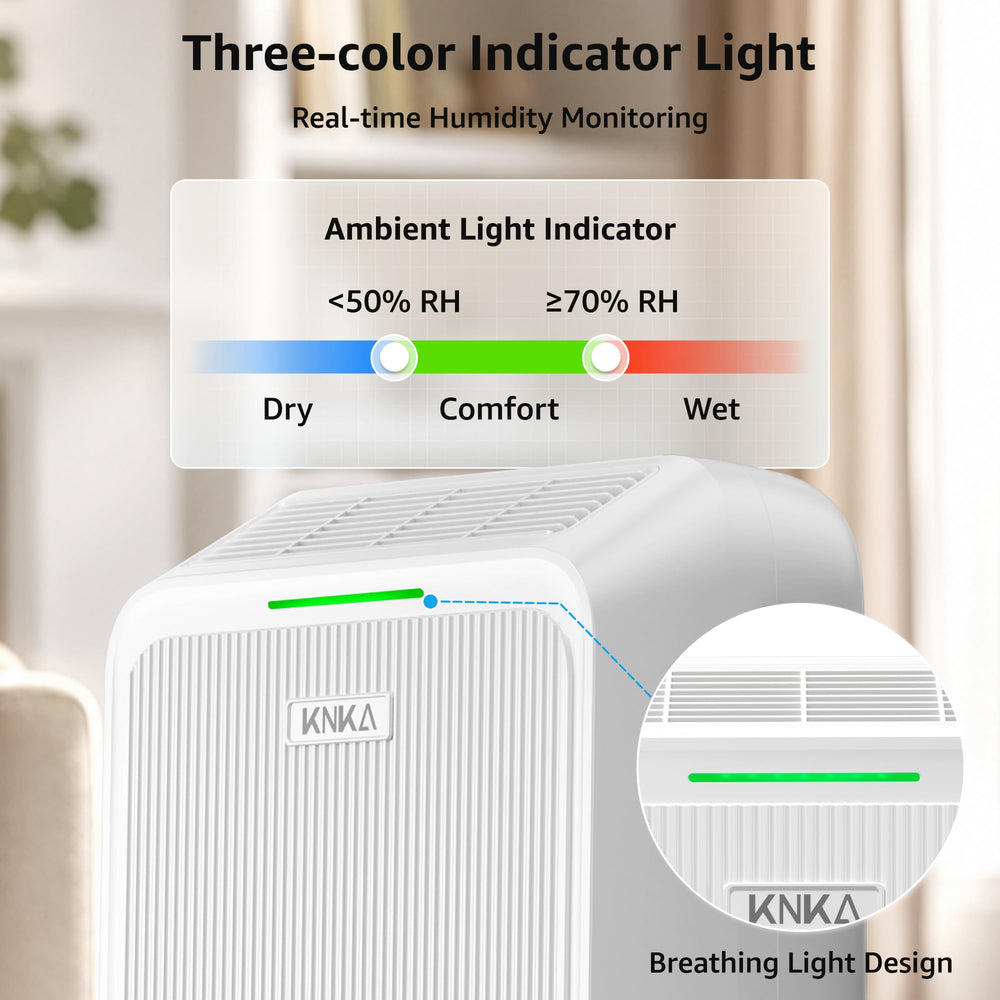 KNKA en un sótano práctico para controlar humedad y proteger pertenencias