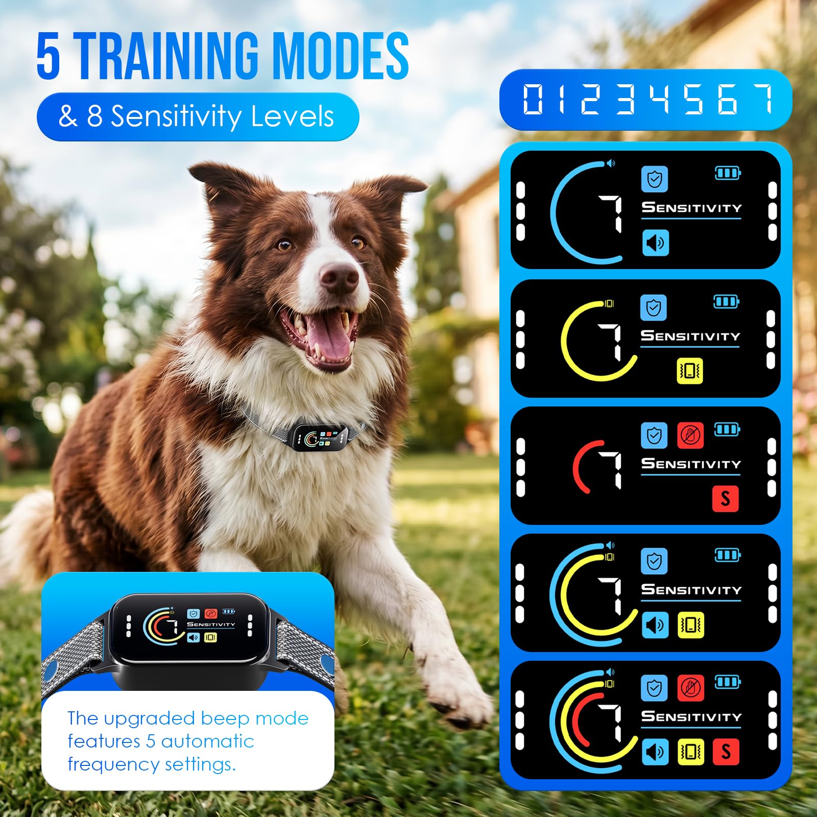 Koguzl collar en uso durante paseo, reduce ladridos y mejora paseos