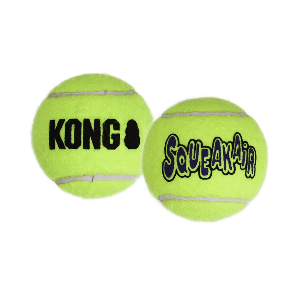 KONG pelotas SqueakAir en parque demostrando uso al aire libre