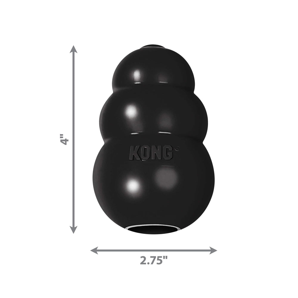 KONG extremo perro jugando fetch demostrando resistencia y rebote