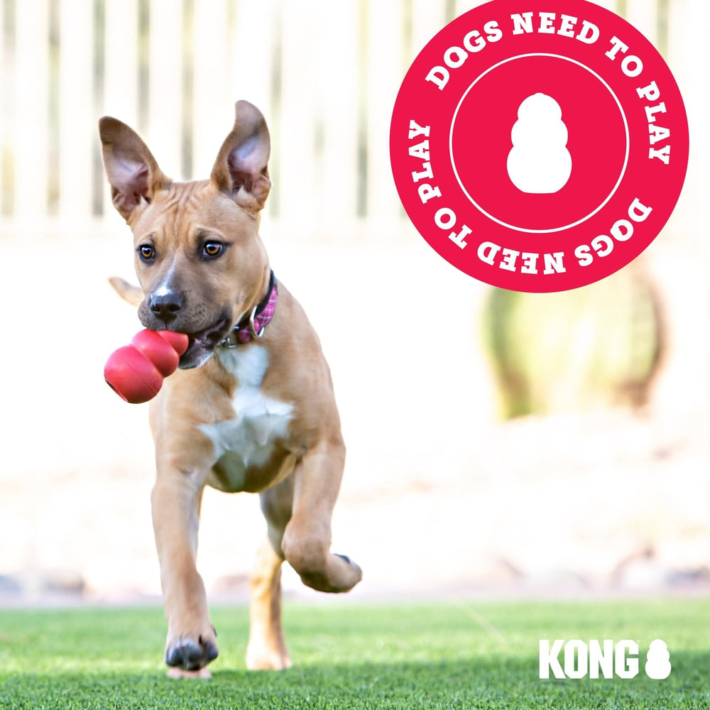 KONG Goodie Bone congelado con relleno, prolonga la duración del premio