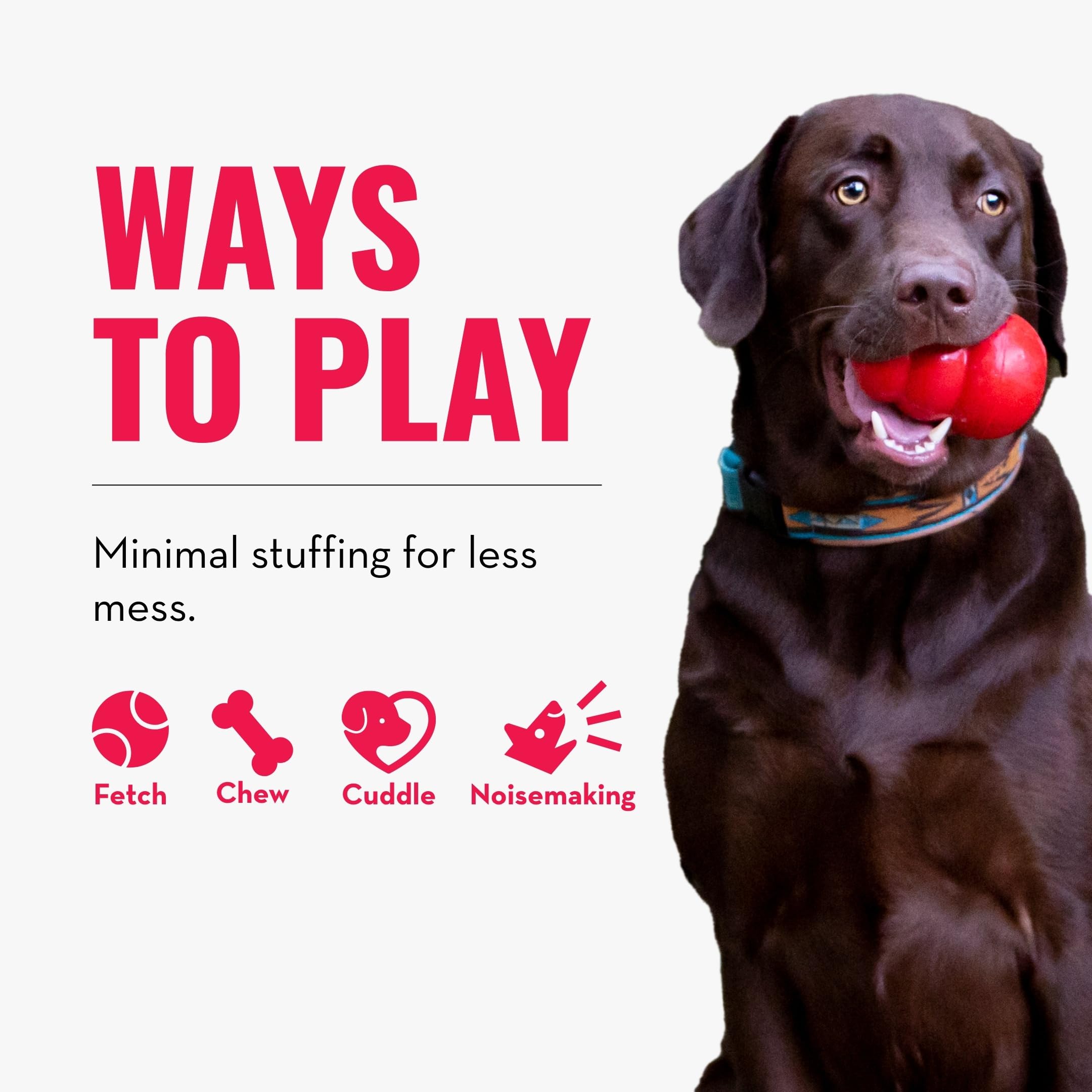 KONG Wild Knots Bear junto a perro mediano, tamaño Medium/Large claro