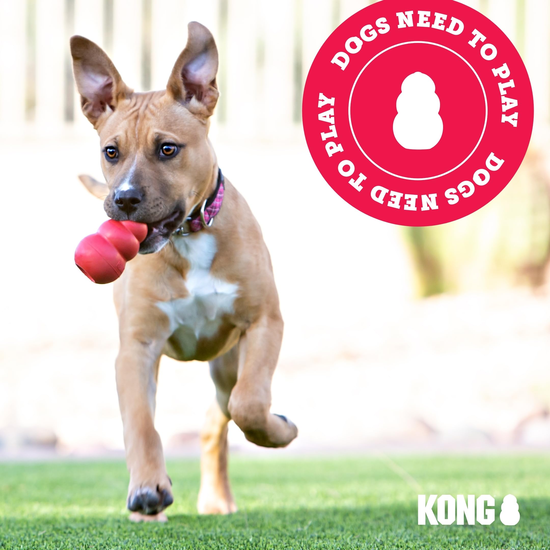 KONG Wild Knots Bear acurrucado con perro, confort y compañía